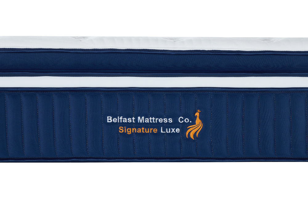 Signature Luxe Single