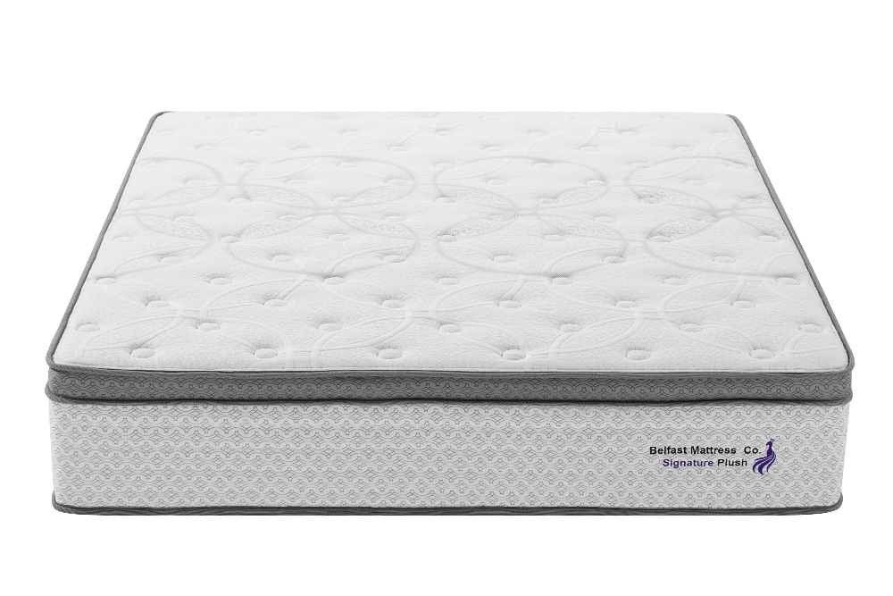 Signature Plush Double