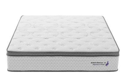 Signature Plush Double