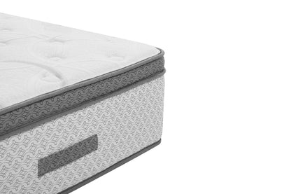 Signature Plush Double